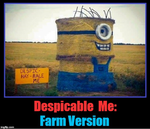 Despicable Me: Farm Version | Despicable  Me:; Farm Version | image tagged in minion memes,minions,excited minions,vince vance,hay bale minion | made w/ Imgflip meme maker