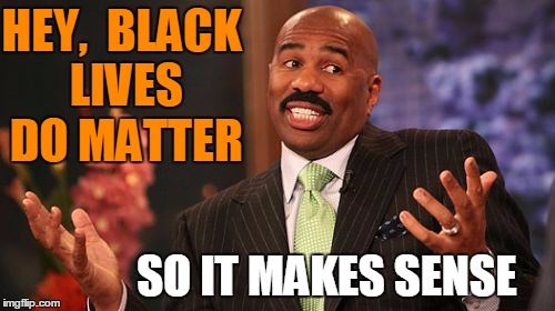Steve Harvey Meme | HEY,  BLACK LIVES DO MATTER SO IT MAKES SENSE | image tagged in memes,steve harvey | made w/ Imgflip meme maker