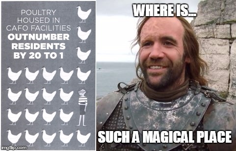 WHERE IS... SUCH A MAGICAL PLACE | image tagged in morechickens | made w/ Imgflip meme maker