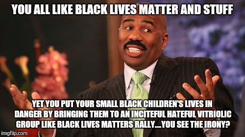 Steve Harvey | YOU ALL LIKE BLACK LIVES MATTER AND STUFF; YET YOU PUT YOUR SMALL BLACK CHILDREN'S LIVES IN DANGER BY BRINGING THEM TO AN INCITEFUL HATEFUL VITRIOLIC GROUP LIKE BLACK LIVES MATTERS RALLY....YOU SEE THE IRONY? | image tagged in memes,steve harvey | made w/ Imgflip meme maker