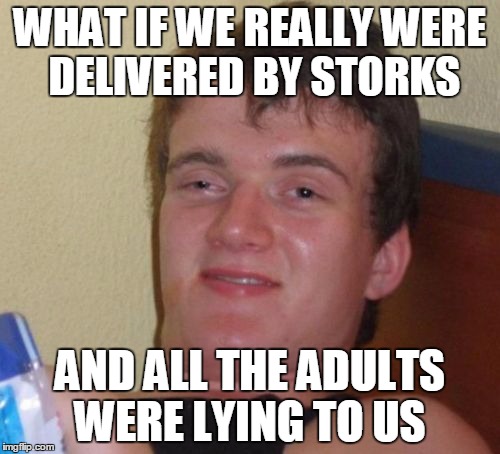 Son, You're adopted... | WHAT IF WE REALLY WERE DELIVERED BY STORKS; AND ALL THE ADULTS WERE LYING TO US | image tagged in memes,10 guy | made w/ Imgflip meme maker