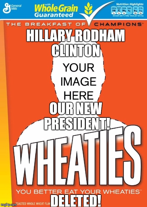 Oh brother! We're in for a treat! | HILLARY RODHAM CLINTON; OUR NEW PRESIDENT! DELETED! | image tagged in political | made w/ Imgflip meme maker