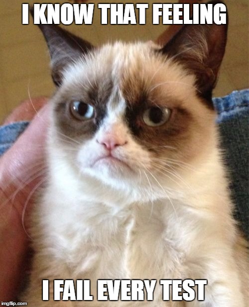 Grumpy Cat Meme | I KNOW THAT FEELING I FAIL EVERY TEST | image tagged in memes,grumpy cat | made w/ Imgflip meme maker