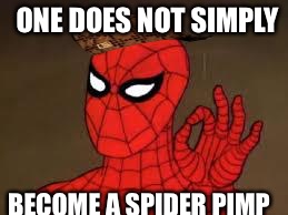 one does not simply Spider-Man | ONE DOES NOT SIMPLY; BECOME A SPIDER PIMP | image tagged in one does not simply spider-man,scumbag | made w/ Imgflip meme maker