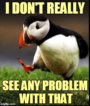 I DON'T REALLY SEE ANY PROBLEM WITH THAT | made w/ Imgflip meme maker