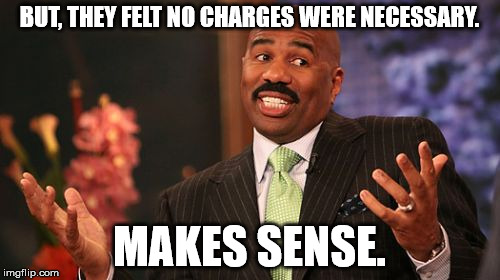 Steve Harvey Meme | BUT, THEY FELT NO CHARGES WERE NECESSARY. MAKES SENSE. | image tagged in memes,steve harvey | made w/ Imgflip meme maker