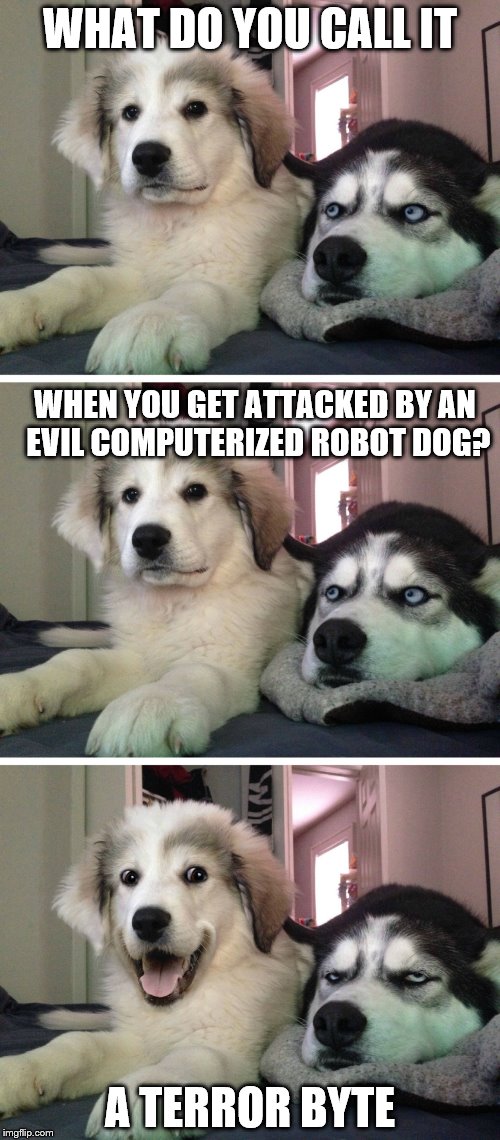 Bad pun dogs | WHAT DO YOU CALL IT; WHEN YOU GET ATTACKED BY AN EVIL COMPUTERIZED ROBOT DOG? A TERROR BYTE | image tagged in bad pun dogs | made w/ Imgflip meme maker