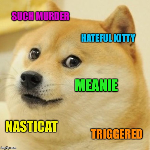 Doge Meme | SUCH MURDER HATEFUL KITTY MEANIE NASTICAT TRIGGERED | image tagged in memes,doge | made w/ Imgflip meme maker