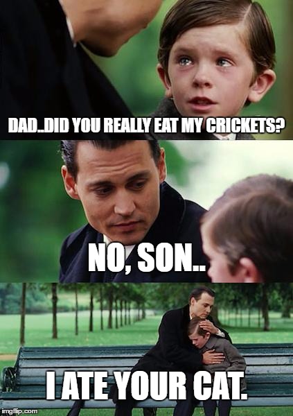 Finding Neverland Meme |  DAD..DID YOU REALLY EAT MY CRICKETS? NO, SON.. I ATE YOUR CAT. | image tagged in memes,finding neverland | made w/ Imgflip meme maker