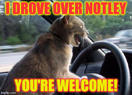 Driving Lesson | I DROVE OVER NOTLEY; YOU'RE WELCOME! | image tagged in driving lesson | made w/ Imgflip meme maker