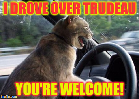 Driving Lesson | I DROVE OVER TRUDEAU; YOU'RE WELCOME! | image tagged in driving lesson | made w/ Imgflip meme maker