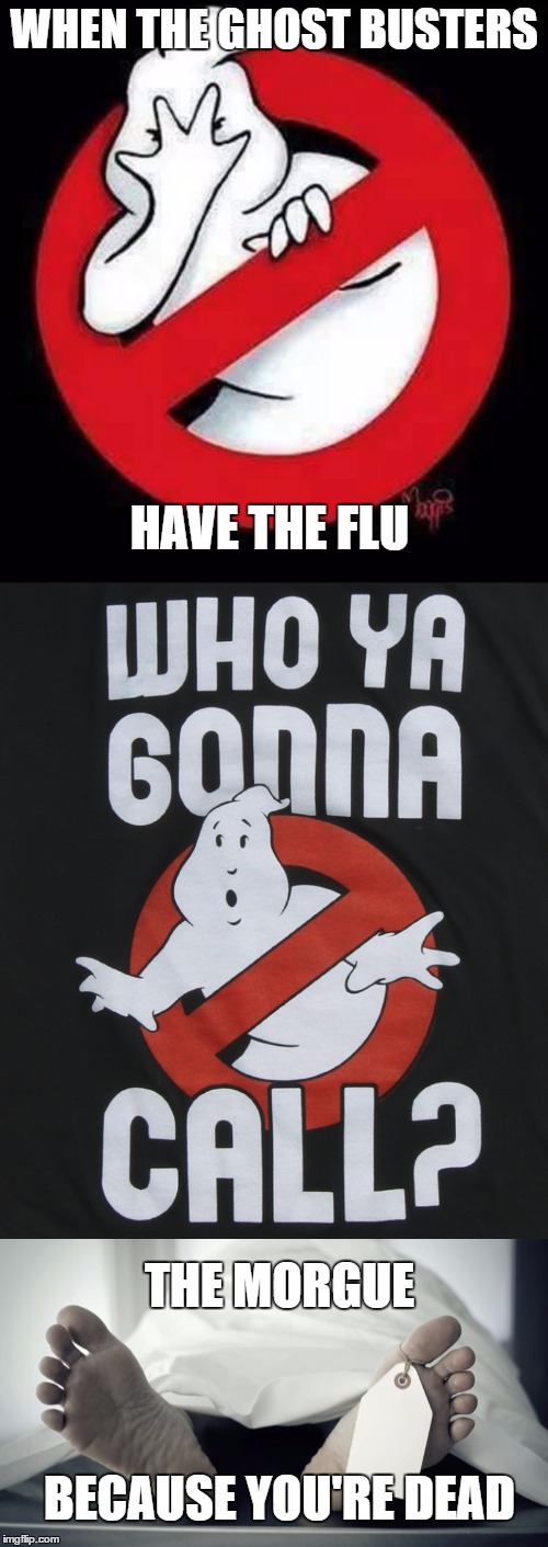 Nobody to call now. | WHEN THE GHOST BUSTERS; HAVE THE FLU; THE MORGUE; BECAUSE YOU'RE DEAD | image tagged in ghostbusters,who you gonna call,morgue,ghost | made w/ Imgflip meme maker