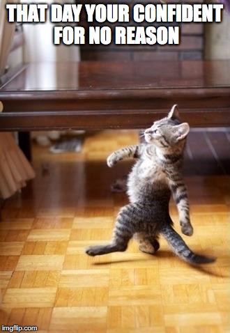 Cool Cat Stroll | THAT DAY YOUR CONFIDENT FOR NO REASON | image tagged in memes,cool cat stroll | made w/ Imgflip meme maker