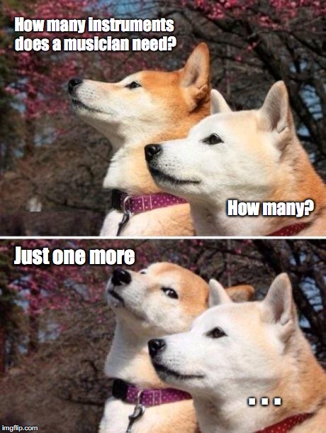 shiba bad joke | How many instruments does a musician need? How many? Just one more; . . . | image tagged in shiba bad joke | made w/ Imgflip meme maker