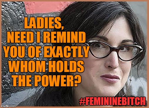 feminist Zeisler | LADIES,  NEED I REMIND YOU OF EXACTLY WHOM HOLDS THE POWER? #FEMININEB**CH | image tagged in feminist zeisler | made w/ Imgflip meme maker