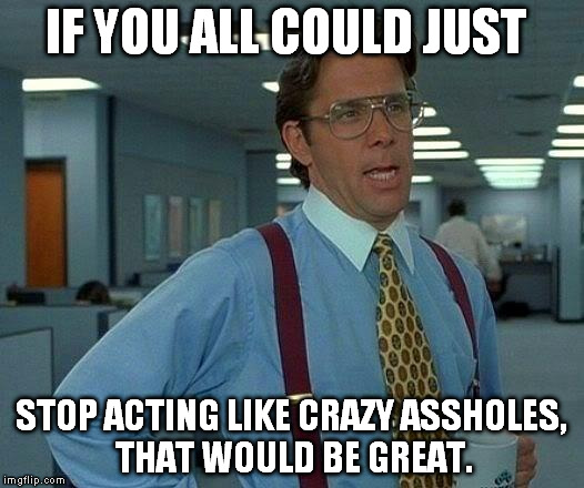 That Would Be Great | IF YOU ALL COULD JUST; STOP ACTING LIKE CRAZY ASSHOLES, THAT WOULD BE GREAT. | image tagged in memes,that would be great | made w/ Imgflip meme maker