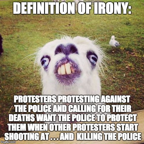 irony llama | DEFINITION OF IRONY:; PROTESTERS PROTESTING AGAINST THE POLICE AND CALLING FOR THEIR DEATHS WANT THE POLICE TO PROTECT THEM WHEN OTHER PROTESTERS START SHOOTING AT . . . AND  KILLING THE POLICE | image tagged in irony llama | made w/ Imgflip meme maker