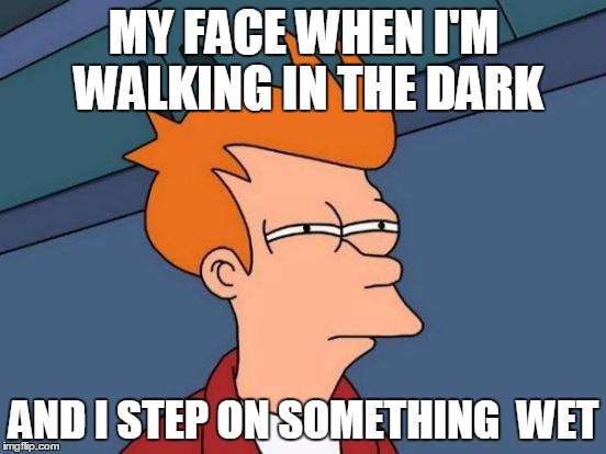 Futurama Fry | MY FACE WHEN I'M WALKING IN THE DARK; AND I STEP ON SOMETHING  WET | image tagged in memes,futurama fry | made w/ Imgflip meme maker