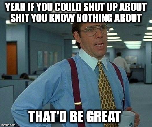 That Would Be Great | YEAH IF YOU COULD SHUT UP ABOUT SHIT YOU KNOW NOTHING ABOUT; THAT'D BE GREAT | image tagged in memes,that would be great | made w/ Imgflip meme maker