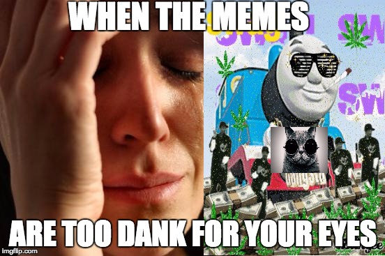 First World Problems | WHEN THE MEMES; ARE TOO DANK FOR YOUR EYES | image tagged in memes,first world problems | made w/ Imgflip meme maker