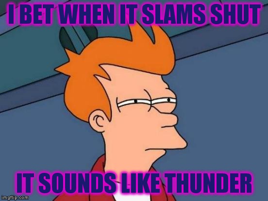 Futurama Fry Meme | I BET WHEN IT SLAMS SHUT IT SOUNDS LIKE THUNDER | image tagged in memes,futurama fry | made w/ Imgflip meme maker