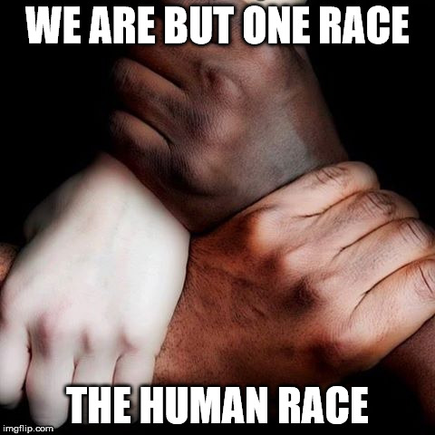 One Race | WE ARE BUT ONE RACE; THE HUMAN RACE | image tagged in race,equality,memes,humanity,truth,together | made w/ Imgflip meme maker