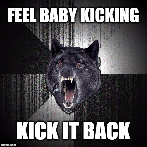 Insanity Wolf | FEEL BABY KICKING; KICK IT BACK | image tagged in memes,insanity wolf | made w/ Imgflip meme maker