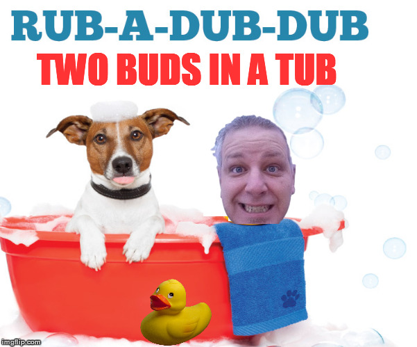 Two Buds in a Tub | image tagged in rub-a-dub-dub,dogs,funny,memes,jack russell terrier,rubber ducks | made w/ Imgflip meme maker