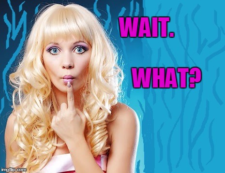 ditzy blonde | WAIT. WHAT? | image tagged in ditzy blonde | made w/ Imgflip meme maker