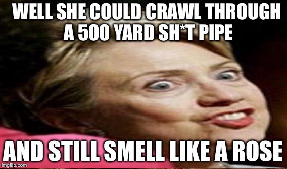WELL SHE COULD CRAWL THROUGH A 500 YARD SH*T PIPE AND STILL SMELL LIKE A ROSE | made w/ Imgflip meme maker