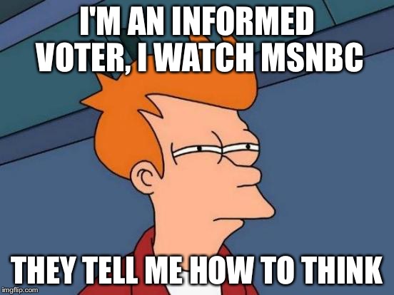 Futurama Fry | I'M AN INFORMED VOTER, I WATCH MSNBC; THEY TELL ME HOW TO THINK | image tagged in memes,futurama fry | made w/ Imgflip meme maker