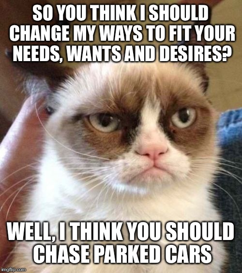 Grumpy Cat Reverse Meme | SO YOU THINK I SHOULD CHANGE MY WAYS TO FIT YOUR NEEDS, WANTS AND DESIRES? WELL, I THINK YOU SHOULD CHASE PARKED CARS | image tagged in memes,grumpy cat reverse,grumpy cat | made w/ Imgflip meme maker