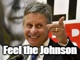 Why feel the Bern, when you can..... | Feel the Johnson | image tagged in memes,gary johnson | made w/ Imgflip meme maker