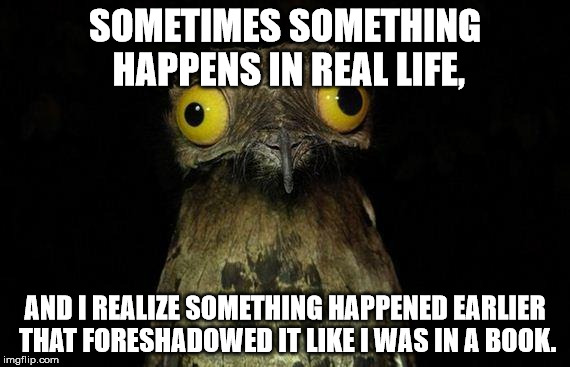 Weird Stuff I Do Potoo | SOMETIMES SOMETHING HAPPENS IN REAL LIFE, AND I REALIZE SOMETHING HAPPENED EARLIER THAT FORESHADOWED IT LIKE I WAS IN A BOOK. | image tagged in memes,weird stuff i do potoo | made w/ Imgflip meme maker