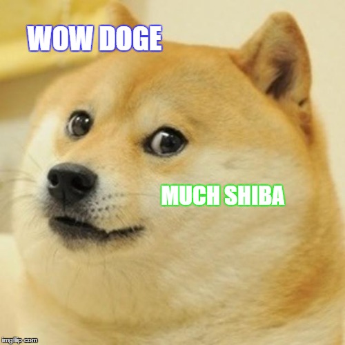 Doge Meme | WOW DOGE; MUCH SHIBA | image tagged in memes,doge | made w/ Imgflip meme maker