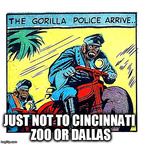 gorilla police | JUST NOT TO CINCINNATI ZOO OR DALLAS | image tagged in gorilla police,harambe,gorilla,police,dallas,cincinnati zoo | made w/ Imgflip meme maker