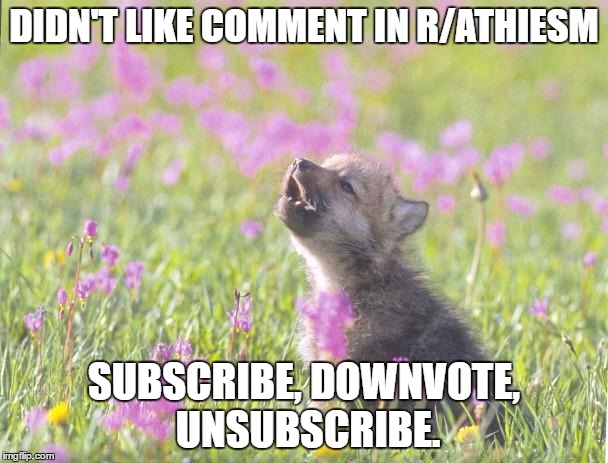 Baby Insanity Wolf Meme | DIDN'T LIKE COMMENT IN R/ATHIESM; SUBSCRIBE, DOWNVOTE, UNSUBSCRIBE. | image tagged in memes,baby insanity wolf,AdviceAnimals | made w/ Imgflip meme maker