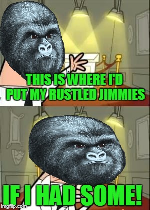 This Is Where I'd Put My Trophy If I Had One |  THIS IS WHERE I'D PUT MY RUSTLED JIMMIES; IF I HAD SOME! | image tagged in memes,this is where i'd put my trophy if i had one,rustle my jimmies,gorilla,funny | made w/ Imgflip meme maker
