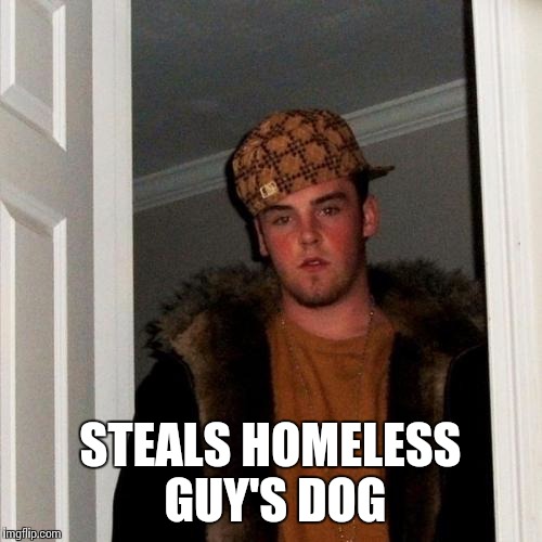 Scumbag Steve | STEALS HOMELESS GUY'S DOG | image tagged in memes,scumbag steve | made w/ Imgflip meme maker