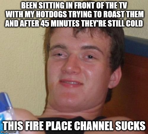10 Guy | BEEN SITTING IN FRONT OF THE TV WITH MY HOTDOGS TRYING TO ROAST THEM AND AFTER 45 MINUTES THEY'RE STILL COLD; THIS FIRE PLACE CHANNEL SUCKS | image tagged in memes,10 guy | made w/ Imgflip meme maker