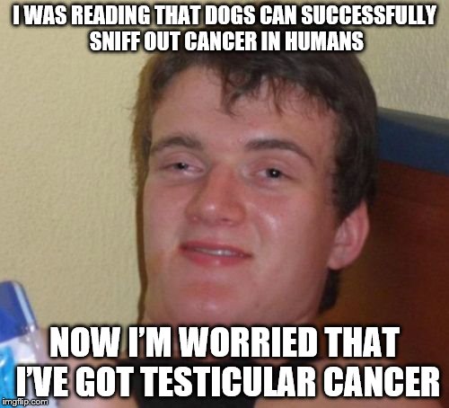 10 Guy Meme | I WAS READING THAT DOGS CAN SUCCESSFULLY SNIFF OUT CANCER IN HUMANS; NOW I’M WORRIED THAT I’VE GOT TESTICULAR CANCER | image tagged in memes,10 guy | made w/ Imgflip meme maker