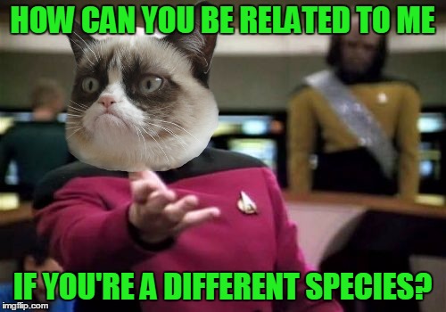 Picard Wtf Meme | HOW CAN YOU BE RELATED TO ME IF YOU'RE A DIFFERENT SPECIES? | image tagged in memes,picard wtf | made w/ Imgflip meme maker