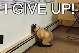 Give up cat | I GIVE UP! | image tagged in give up cat | made w/ Imgflip meme maker