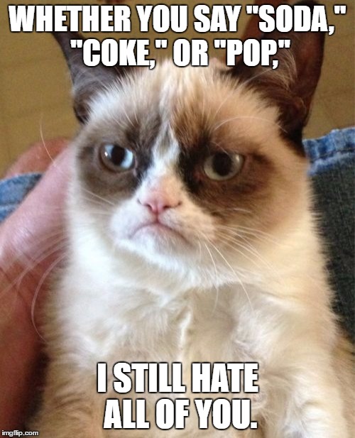 Grumpy Cat Meme | WHETHER YOU SAY "SODA," "COKE," OR "POP,"; I STILL HATE ALL OF YOU. | image tagged in memes,grumpy cat,soda,coke,pop,animals | made w/ Imgflip meme maker