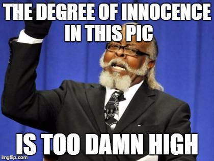 Too Damn High | THE DEGREE OF INNOCENCE IN THIS PIC; IS TOO DAMN HIGH | image tagged in memes,too damn high | made w/ Imgflip meme maker