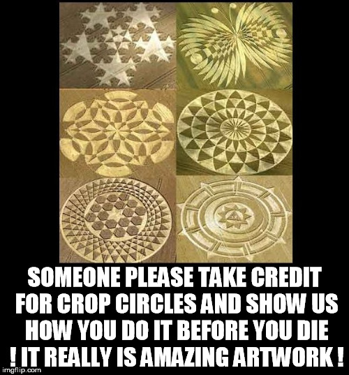 crop circles | SOMEONE PLEASE TAKE CREDIT FOR CROP CIRCLES AND SHOW US HOW YOU DO IT BEFORE YOU DIE ! IT REALLY IS AMAZING ARTWORK ! | image tagged in crop circles,art,dead,credit,artist | made w/ Imgflip meme maker