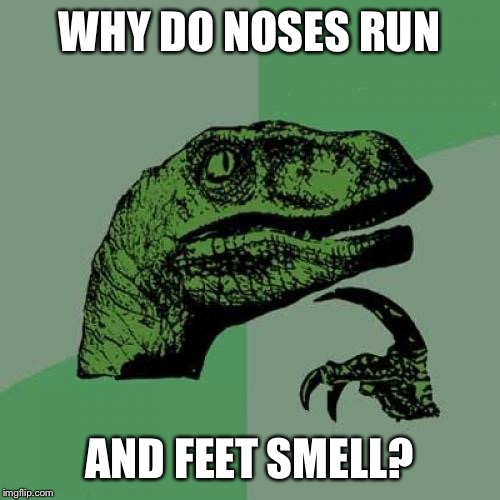 Philosoraptor | WHY DO NOSES RUN; AND FEET SMELL? | image tagged in memes,philosoraptor | made w/ Imgflip meme maker