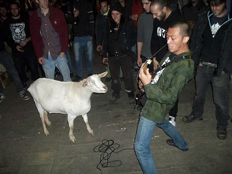 High Quality Metal Goat Blank Meme Template