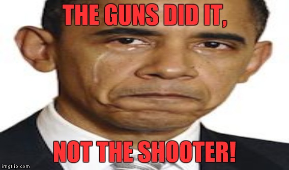 THE GUNS DID IT, NOT THE SHOOTER! | made w/ Imgflip meme maker