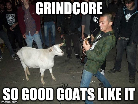 Metal Goat | GRINDCORE; SO GOOD GOATS LIKE IT | image tagged in metal goat | made w/ Imgflip meme maker